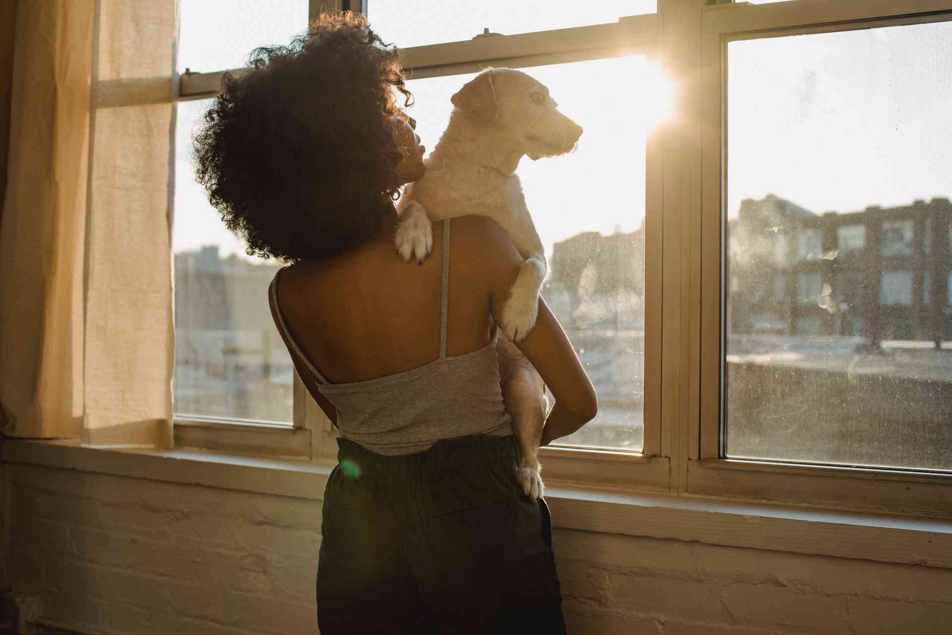 dog owner holding dog by the window