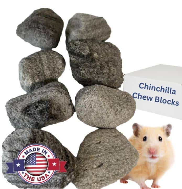 Chinchilla volcanic pumice toy