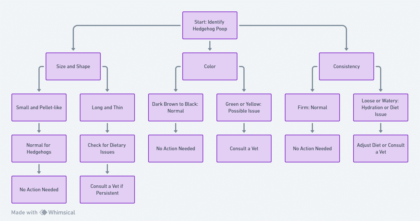 Hedgehogs Poop Color Everything You Need to Know!